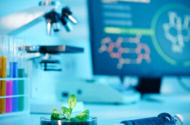 Biotecnologia: avanços e aplicações inovadoras no campo da saúde